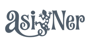 ASINER 300x156