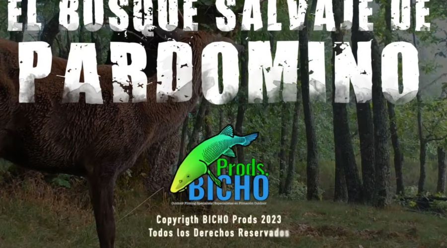 El bosque salvaje Pardomino por Bicho Producciones