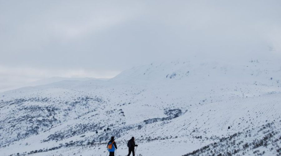 Raquetas de nieve en León instalaciones y rutas