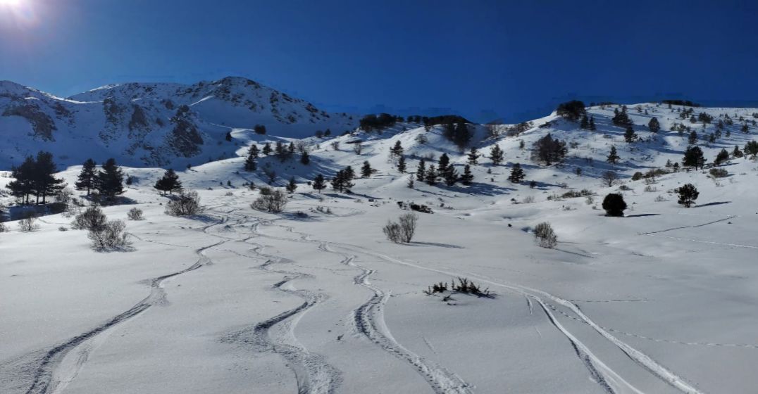 Death Dance por Álvaro Aguilera Mellado