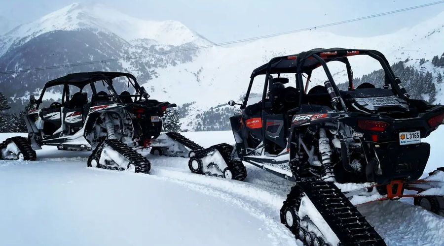 ¿La familia bugg crece? Interesante opción🤔